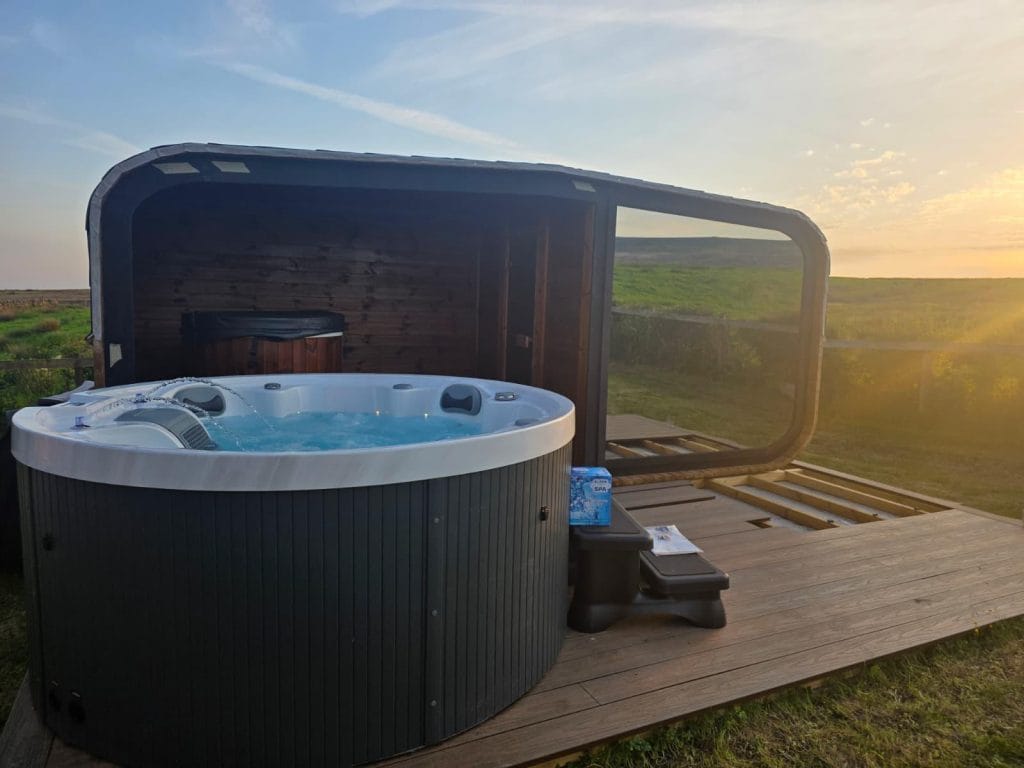 ZenSpa Ginseng