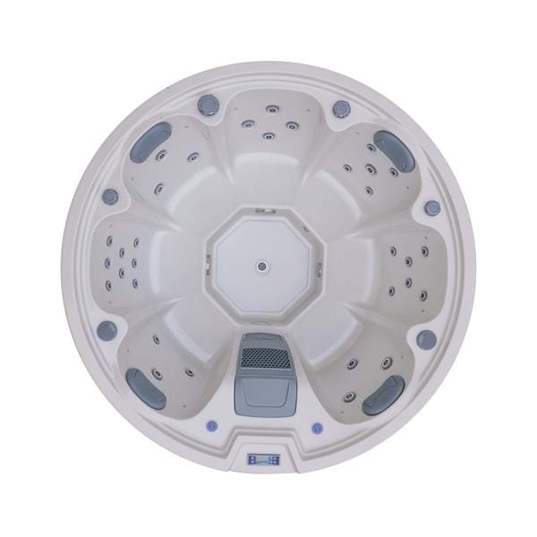 ZenSpa Ginseng